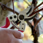 Makaze za voće grane Falket 2112 - Image 3