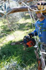 ECHO motorna testera pila CS-2511TES/25R 1.5KS 25cm - Image 4