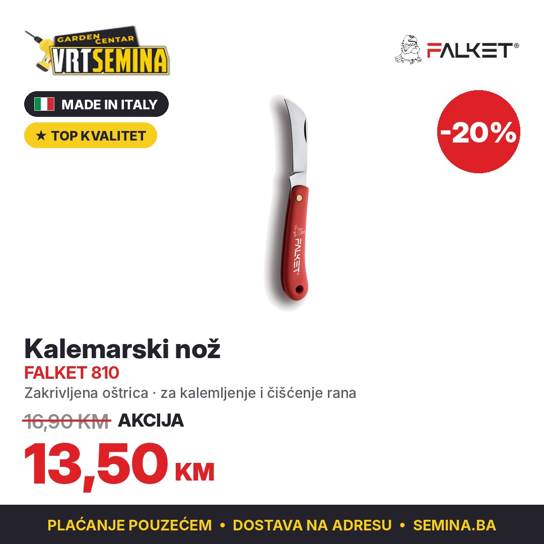 falket-810-1x1 Kalemarski nož Falket 810 - Image 1